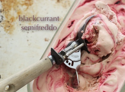 Sweet New Zealand and Blackcurrant Semifreddo