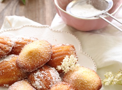 Petites Elderflower Madeleines